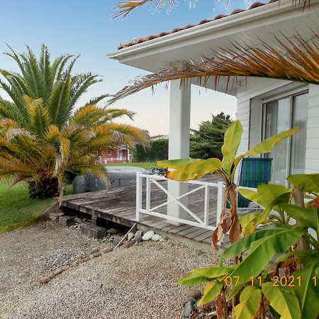 Maison Authentique Avec Pres De Dax Et Son Jardin Angoume