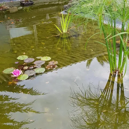 Maison Authentique Avec Pres De Dax Et Son Jardin *