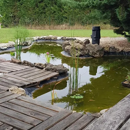 Maison Authentique Avec Pres De Dax Et Son Jardin